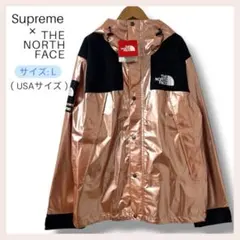 タグ付Supreme TNF Metallic Mountain Parka L