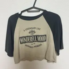 Dazy クロップドTシャツ Sサイズ ベージュ/ブラック