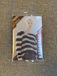 SEVENTEEN セブチ ツインウエハース ホシ