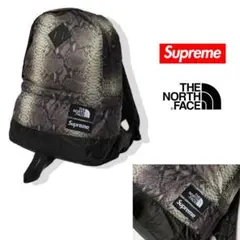 Supreme The North Face バックパック パイソン