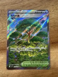 ポケモンカード 活力の森 スタジアムカード