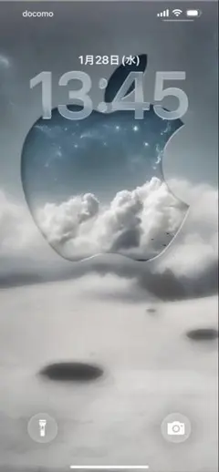 Apple iPhone13ProMAX 256GB 新品　アップルケア付き