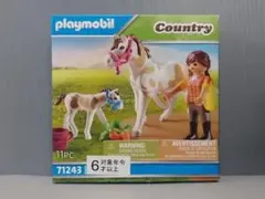 playmobil　71243のサムネイル