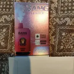 じゃがビー様専用　BANG LEADER 電子タバコ 本体 45000回