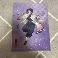 鬼滅の刃アニプレックスオンラインくじE賞クリアファイル　胡蝶しのぶ　栗花落カナヲ