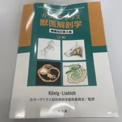 カラーアトラス獣医解剖学 下巻 - メルカリ