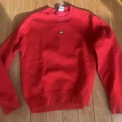 Nike SB レッド トレーナー S