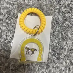 JRA 競馬 枠色アクリルキーリング 黄色 5番のサムネイル
