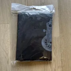 Item thumbnail for item cfd0fde9-d1c9-4edb-bae0-61043ba0c4c7