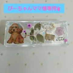 ぴーちゃんママ様専用❦レジン小物ケース2点❦