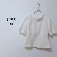 Item thumbnail for item a7f47293-55d1-400f-9c4e-34925bc7fa07