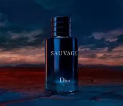 Dior ディオール ソヴァージュ 香水 美容