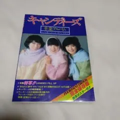 昭和　レトロ　１９８５年　１１月号　ジュニアスタイル　洋裁　手編み　ランジェリー 昭和 レトロ 1985年 11月号 ジュニアスタイル 洋裁 手編み