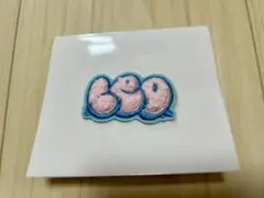 【匿名配送】LEO モコモコ刺繍ステッカー ファンミ グッズ