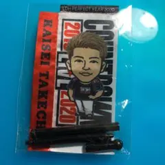 武知海青 ミニのぼり