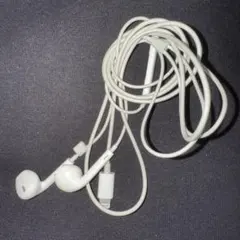 Lightning接続 イヤフォン ホワイト iPhone Apple