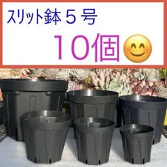 B⑦ カネヤスリット鉢【5号】１０個セット★黒