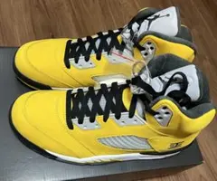 Nike Air Jordan 5 Retro 