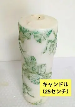 結婚式 ろうそく ウェディング キャンドル 25cm 防災 使用済 used