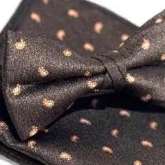 Item thumbnail for item 0cb93c54-1803-4484-89ae-15a1c60e8dc7