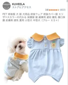 犬服 襟付き フリルデザイン XSサイズ