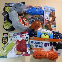 犬のおもちゃ 13個セット 中型犬 フルーツボーン コング 知育玩具