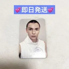 SEVENTEEN バーノン　NEW_ アンコン　トレカ　仁川　カラットゾーン