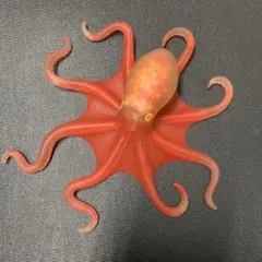 kyo★様 リクエスト 2点 まとめ商品