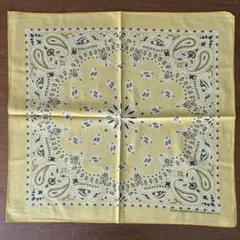 90s ヴィンテージバンダナ【番号:C11】HAV-A-HANK