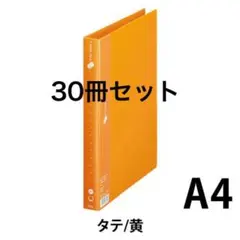 Item thumbnail for item 2380a04a-5276-4ec9-b484-f055aa026fd6