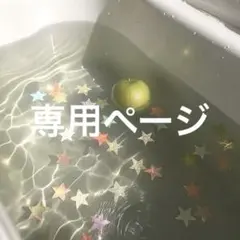 さあや様　専用ページ