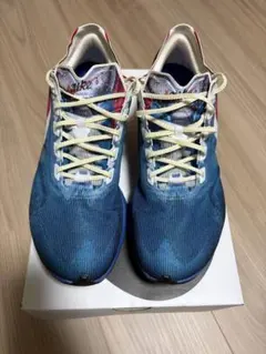 Nike ヴェイパーフライ 4(27cm)