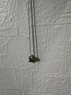 Tiffany & Co. シルバー ハートネックレス