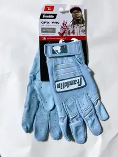 Item thumbnail for item ca7278cc-f295-420c-9b60-65f9bb49d479