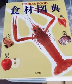 Item thumbnail for item 0aa79a5b-c31a-4838-8672-9ec31be6a591