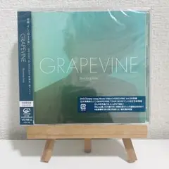 GRAPEVINE Burning tree CD DVD 初回限定盤