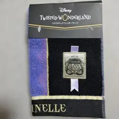 ディズニー　ツインテッドワンダーランド　タオル