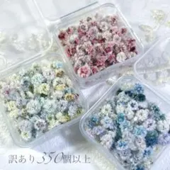 かすみ草ドライフラワー 訳あり350個以上 在庫あり