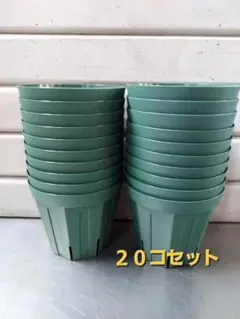 春の植替えに。根っこつよし 4号、5号、6号 とリキダス800mlセット②