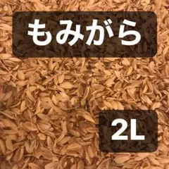 無農薬 国産マジックリーフ モモタマナ 多め発送 水質改善 25 枚