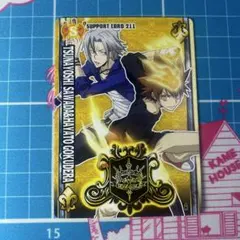 家庭教師ヒットマンリボーン！ サザンクロスバトル 沢田綱吉＆獄寺隼人 211