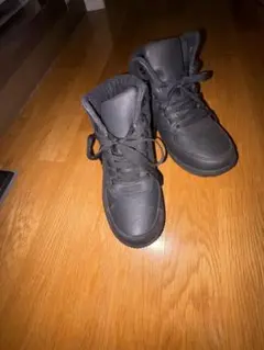 Item thumbnail for item 59fbcb53-3142-43ce-959c-5d173ccdb7ef