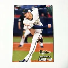 Item thumbnail for item 89680527-f1bb-4dbf-8bdf-8958ea18b93d