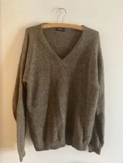 DELIZIA ウール Vネックセーター LL