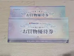 ヤマダ電機 株主優待