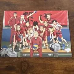 ハイキュー!! A4ブロマイド チーム集合#音駒#ゴミ捨て場の決戦