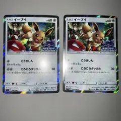 イーブイ 2枚セット 306/SM-P