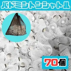 Item thumbnail for item d5e65f98-bfea-4cb0-8b2a-af9ebffb7c11