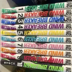 ウィンドブレイカー