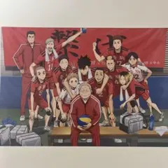 ハイキュー!!ゴミ捨て場の決戦特典